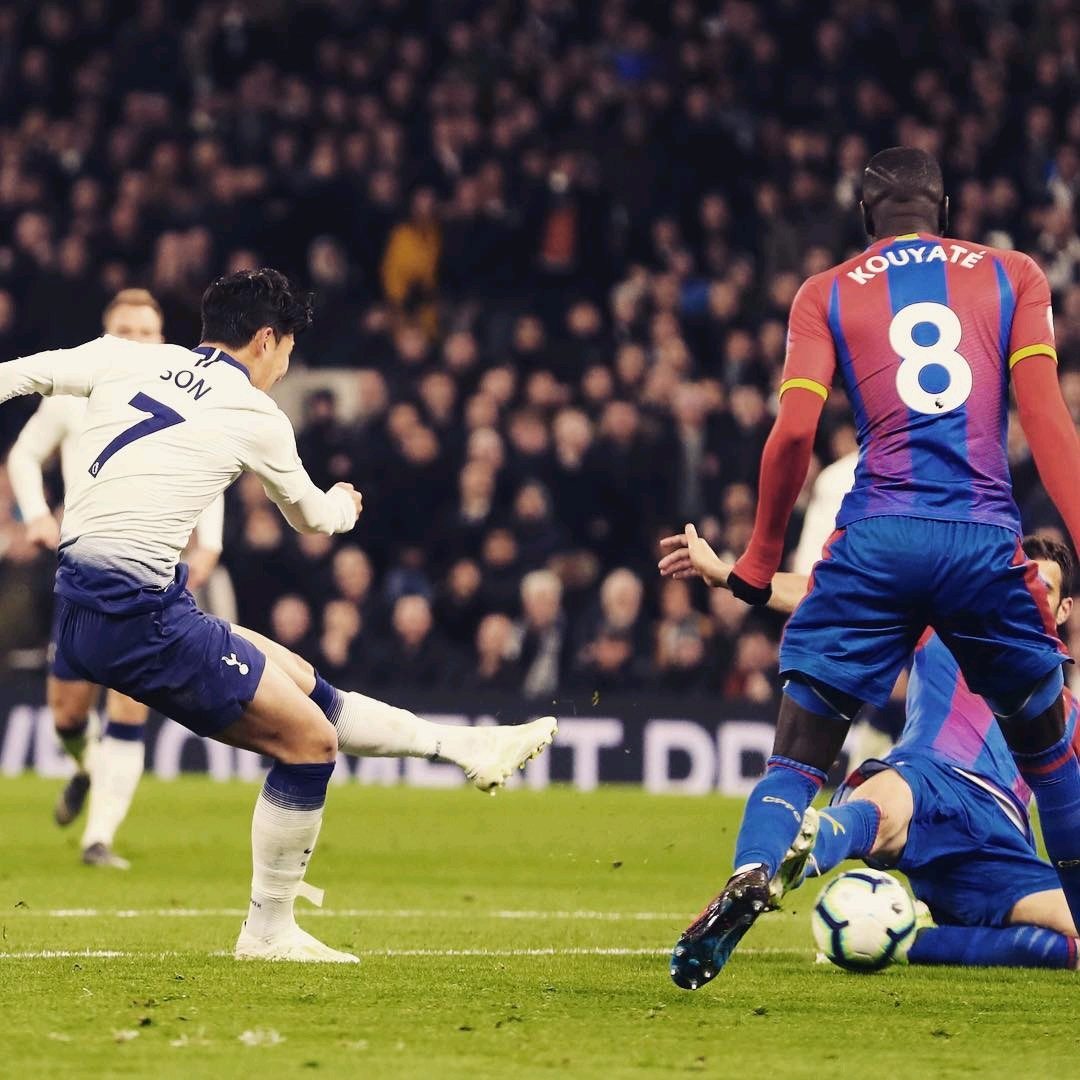 毫不例外 毫不例外