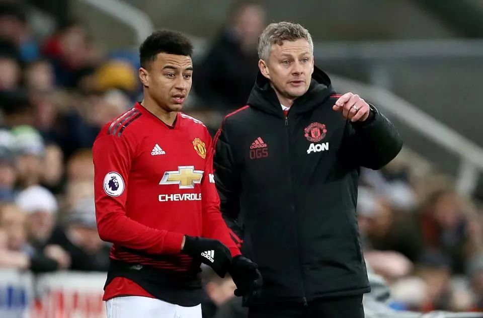 这是一个 这是一个